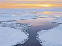 pic for 480x360 Icebergs at Dusk Antarctic Sound Antarctica